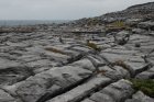 Exposures along margins of country road R477 of Dinantian Burren Limestone Formation. These Carboniferous limestons are composed of shallow water carbonates. Note the clints (limestone blocks) and grikes (joints and fractures) extensively enlarged by Pleistocene dissolution. Topography almost devoid of vegetation, though when it occurs it fills prominent grikes.